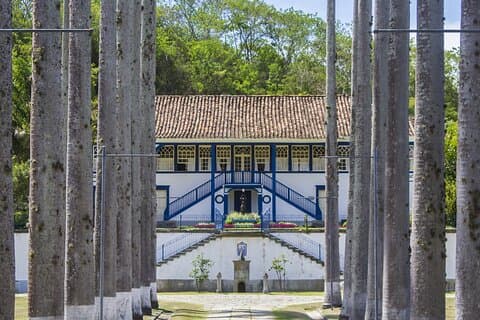 Visita guidata di una storica fattoria di caffè brasiliana
