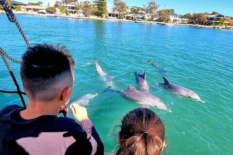 3D1N Perth: Margaret River, Stargazing, Pink Lake & Pinnacles