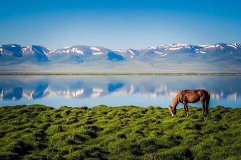 All-Season Son Kul horseback riding Adventure & yurt stay