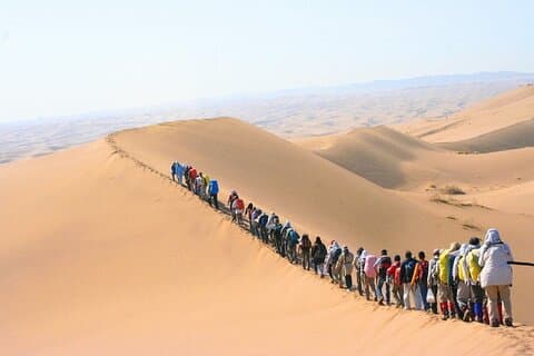 Tour a piedi del deserto mattutino ad Abu Dhabi con giri in cammello