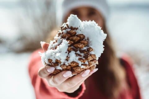 Banff's Winter Wonderland Food Tour