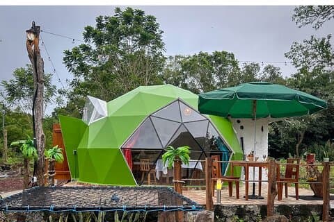 Opplev gigantiske skilpadder og lavatunneler med Dome Stay