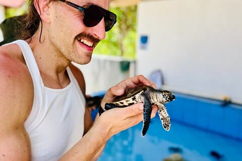 Nusa Penida Schildkrötenschutz, Massiver Höhlentempel