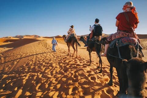 Paseo en camello al atardecer con cena estrellada en el desierto y espectáculo de fuego
