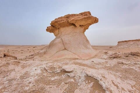 Qatars West Coast Tour Zekreet Serra Sculpture et rocher aux champignons