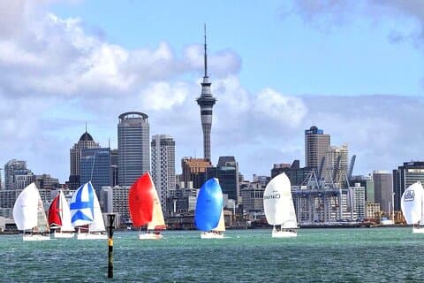 Tour di mezza giornata delle attrazioni principali della città di Auckland - Piccolo gruppo