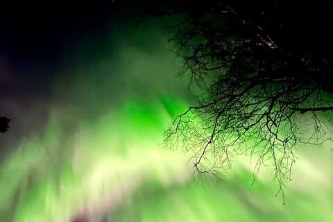 Rovaniemi : Aurora BBQ nos melhores spots