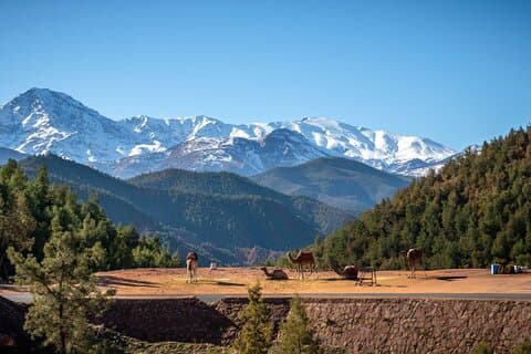 Volledige dagtrip in Atlasgebergte op Ourika Valley