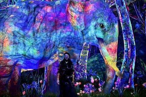 Tokyo : tour guidato teamLab Planets & Toyosu Fish Market
