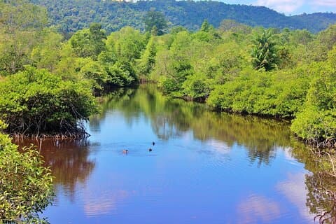 Bamboo Basket Boat Tour in Phu Quoc