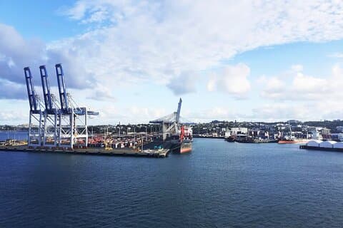 Panorama-Wein und Käse Auckland Hafenrundfahrt