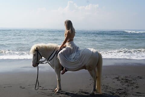 ウブド発 ザ・ビーチでの1時間の乗馬体験