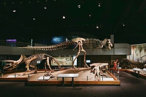 Drumheller & Badlands Privat dagstur fra Calgary