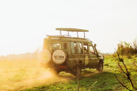 10-Day Predators Tanzania Safari Luxury Package
