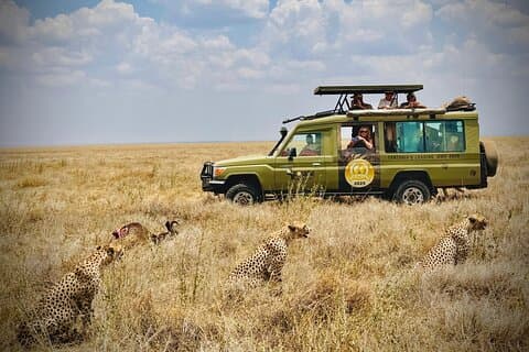 Safari classique de 3 jours dans le parc du Serengeti