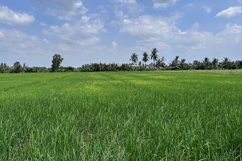 Cu Chi Tunnels & Mekong Eco Tour: Non-Touristy and Small Group