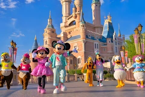 Tokyo Disneyland: 1-Tages-Ticket mit privatem Hoteltransfer