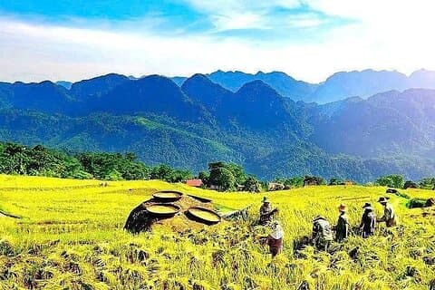 Pu Luong Halve Dag Tour Natuur en Cultuur Ontdekking