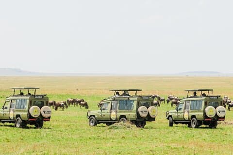 10 - Dagers episke Tanzanian Migration Safari - River Crossing