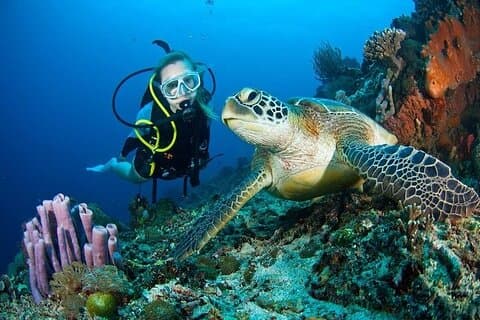 Dubaï Jumeirah Plongée sous-marine guidée Aventure sous-marine