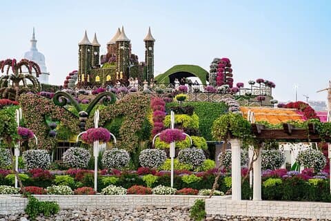 Dubai Miracle Garden billetter inngang fra Rasalkhima