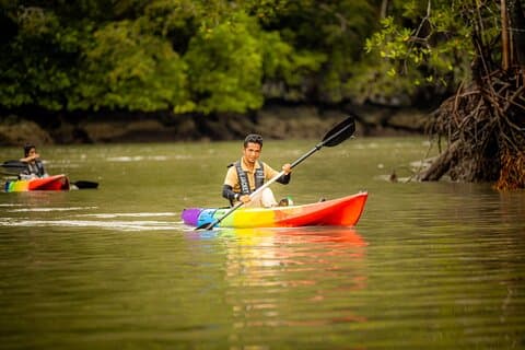 Kayaking Adventure in Langkawi's Kilim Geoforest Park