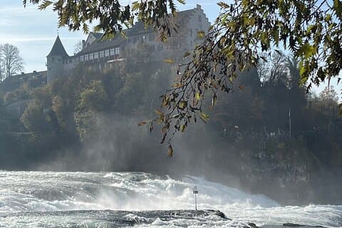 Rheinfalls, Constance-søen og historiske landsbyer Privat biltur