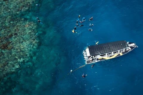 Escursione di mezza giornata a Cairns con snorkeling nella Grande Barriera Corallina