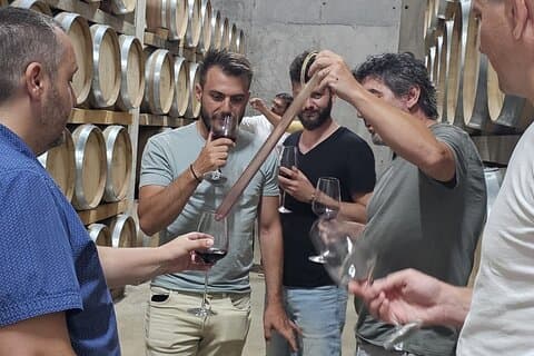 Visite de dégustation de vin en petit groupe Dealu Mare au départ de Bucarest