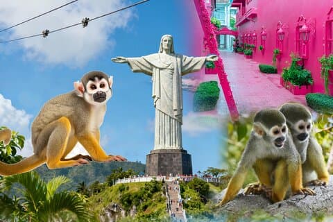 2x1 : Stadtrundfahrt & Affenbegegnungstour Combo Puerto Plata