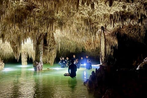 Tulum Ancestral Waters Cave Cenotes Jungle Promenade et repas