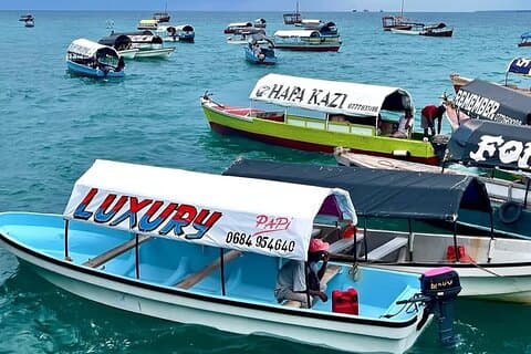 Stone Town, Spice Farm and Prison Island at Zanzibar Private Tour