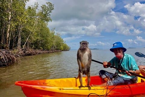 Tour in kayak alle mangrovie di Ko Lanta con pranzo e centro storico di Lanta