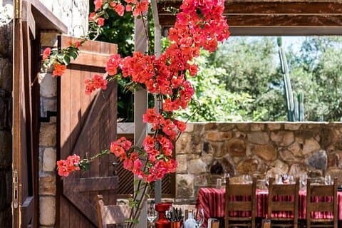 Vatolakkos : Boutique Winery Tour og 5 - vinsmaking