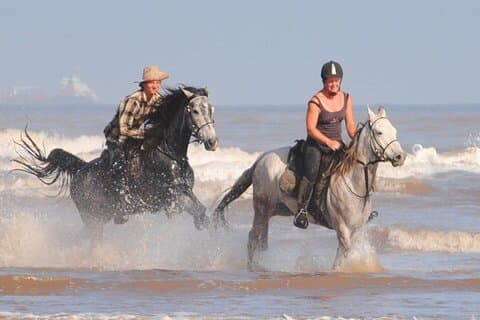 Agadir Beach Horseback Riding & Sandboarding Tour