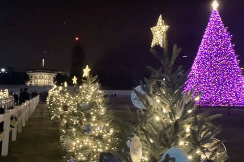 Hoteller i nærheden af National Christmas Tree & Holiday Lights Bus Tour