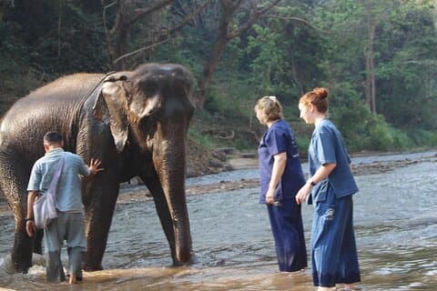 Combo Tour in Elephant Sanctuary, Kleverige waterval, Hoekland