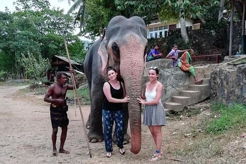 Privé dagtour van Sigiriya, Dambulla en olifantensafari