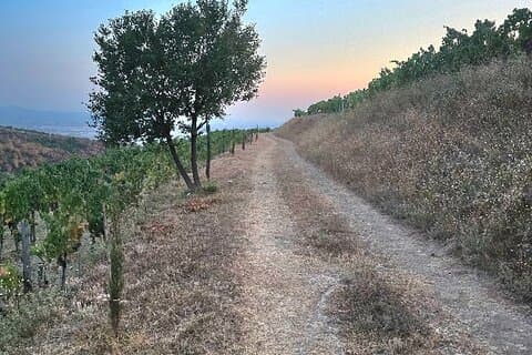 Berat Private Sunset Tour mit Wein und Obst