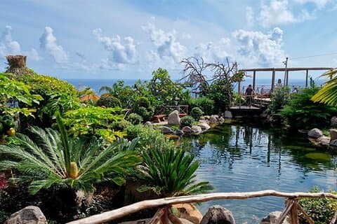 Madeira Private Halbtagestour Vogelinsel