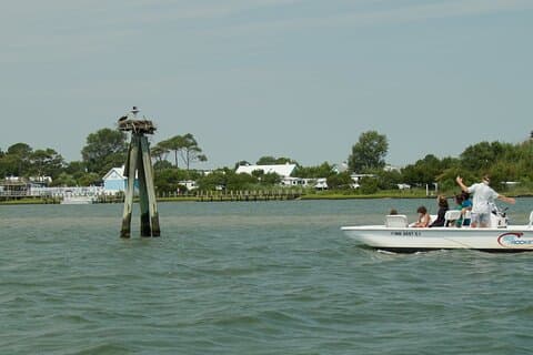 Assateague Island privécruisetour