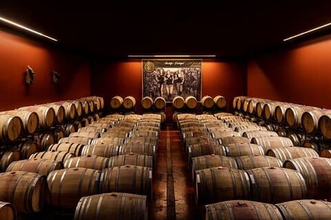 Alentejo-upplevelse: Kork, vin och traditionell lunch