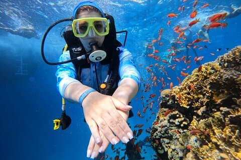 Ras Mohamed og White Island 2 Dive Day Trip i Sharm El Sheikh