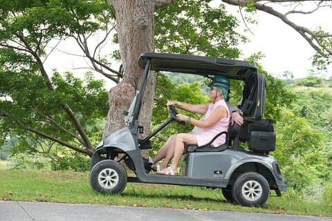 Roatán Zipline Sloths Golfcart VIP Beach Adventure with Lunch
