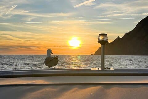 Where the Sun sets: your 5Terre Chill Cruise - Private