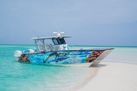 Avaliações de Private Island Hopping Snorkeling Adventure