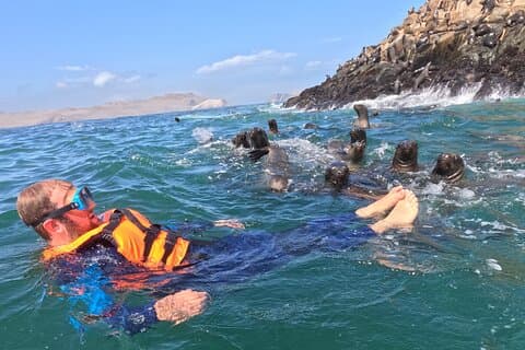 Nuotare con i leoni marini su una barca turistica Palomino Islands LIMA