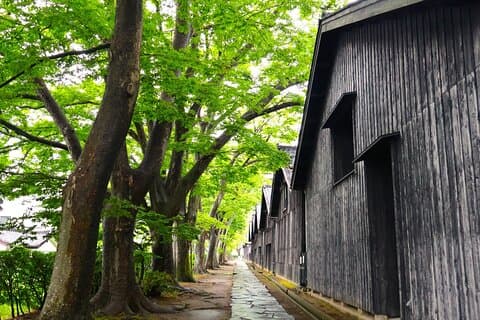 Excursão à costa privada de Sakata – Yamagata Highlights