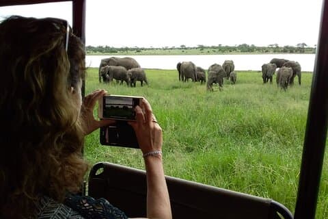 6 Day Kruger Park Safari and Community Service