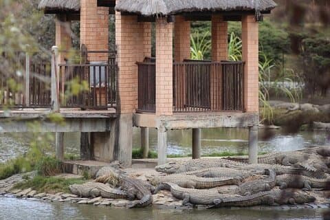 Dagtour naar Madagaskar Lemurs Park en Croc Farm vanuit Antananarivo
